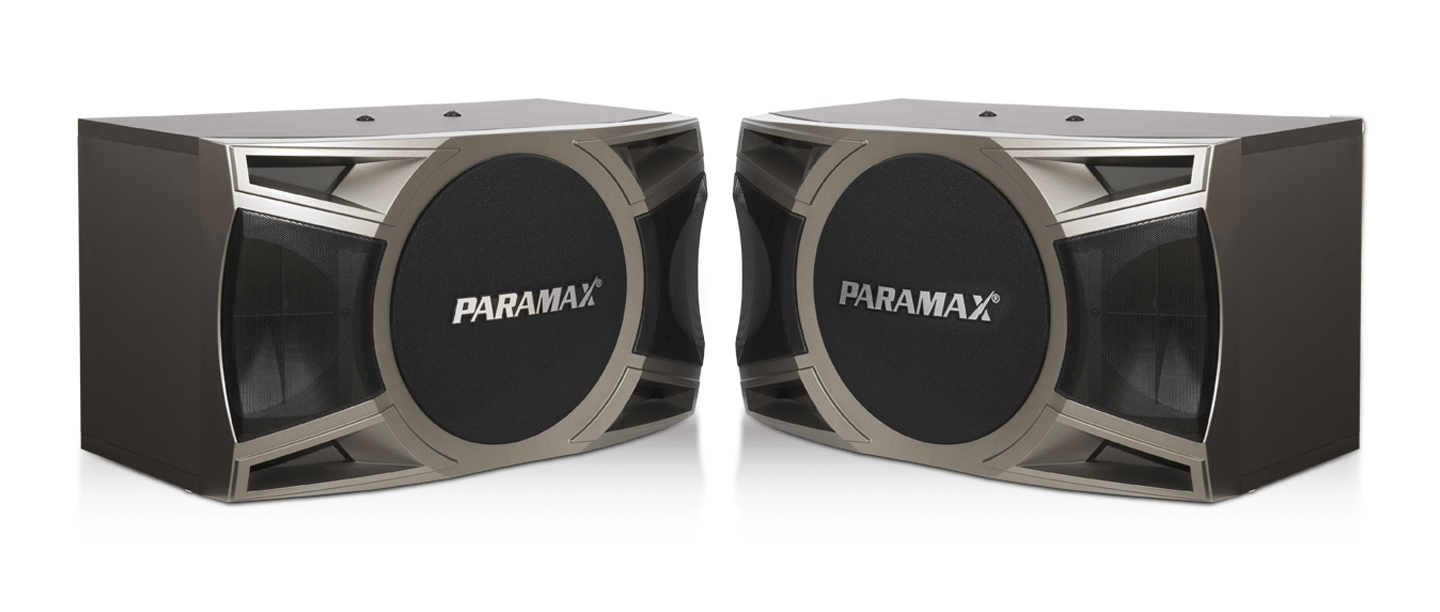 Loa Karaoke Paramax D-1000